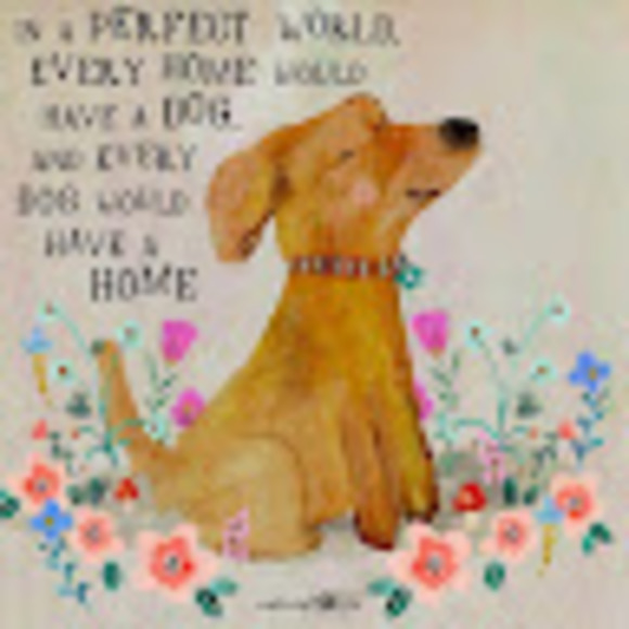 Meet your Posher, Veronica - Picture 1 of 1